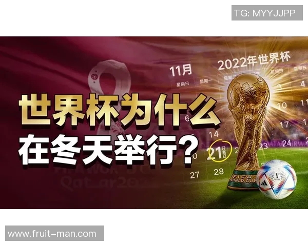 足球世界杯赛事热度与媒体报道分析